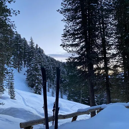 Appartamento Haus Michael *